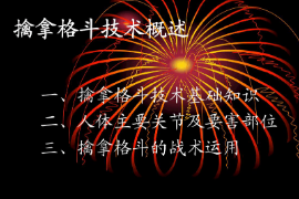 <em>課件</em>：警犬技術(shù)<em>專業(yè)</em>《<em>擒拿格斗</em>—<em>概述</em>》