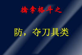 <em>課件</em>：警犬技術(shù)<em>專業(yè)</em>《<em>擒拿格斗</em>—防，奪刀具類》