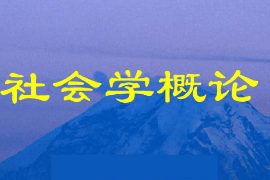 課件：社區(qū)矯正專業(yè)《社會學(xué)概論2》