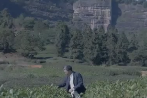 王順明是誰？懂茶的都知道！