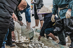 海洋科學專業：《<em>水產</em><em>動物</em>生理學》<em>課程</em><em>思</em><em>政</em><em>案例</em>