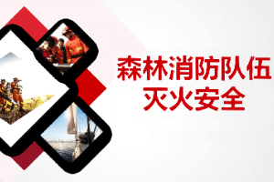 <em>課件</em>：林業(yè)<em>技術(shù)</em><em>專業(yè)</em>《森林<em>防火</em>—森林消防隊伍》