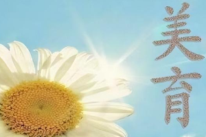 通識課：《大學(xué)<em>美育</em>》<em>課程</em><em>思</em><em>政</em>申報(bào)書