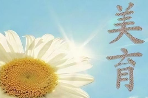 河北水利電力學(xué)院<em>美育</em><em>工作</em><em>實施方案</em>
