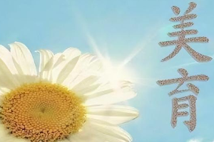 吉林財經(jīng)大學(xué)關(guān)于全面加強和改進新時代<em>美育</em><em>工作</em><em>實施方案</em>