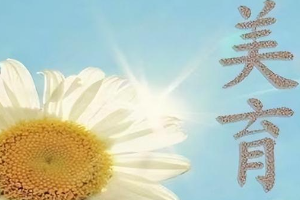 中國民航大學(xué)<em>美育</em><em>工作</em><em>實施方案</em>