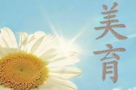 美育類專業：《美育—藝術—中國繪畫藝術之美》課程思政案例
