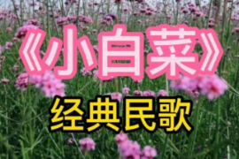 <em>美育</em><em>類</em><em>資源</em>—音樂<em>作品</em>《小白菜》