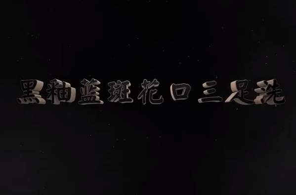 <em>中華</em><em>傳統文化</em>—黑<em>釉</em>藍斑花口三足<em>洗</em>