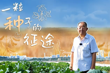 “全國(guó)先進(jìn)工作者”張孟臣：一粒種子的征途